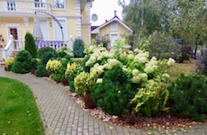 Сад на Пятницком шоссе