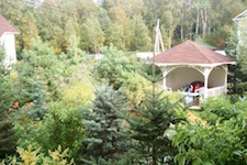 Сад в Манихино