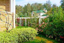 Сад в Манихино