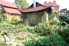 Сад в Подольске