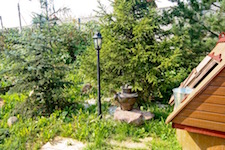 Сад в Подольске